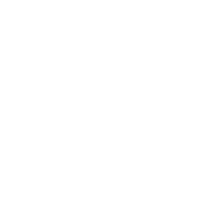Vysoká škola mezinárodních a veřejných vztahů Praha